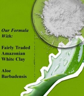 kiehls-face-rare-earth-deep-pore-cleansing-masque-000-key-ingredients