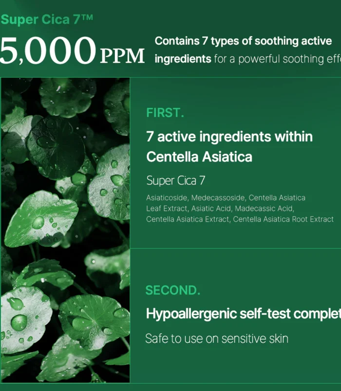 2_1b7ff65c-5da2-4451-a325-b21b35846bc8