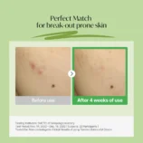 R_Torriden_Balanceful_Cica_Soothing_Cream_80ml