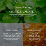 81TwzEfWS8L._SL1500_1024x1024@2x