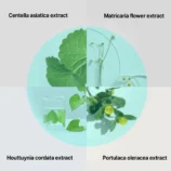 53df1541-f611-45ea-a448-3ef8608eddad