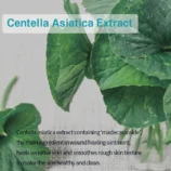 612rvAqYS1L._SL1000_1000x1000