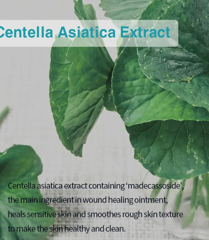 612rvAqYS1L._SL1000_1000x1000 612rvAqYS1L._SL1000_1000x1000