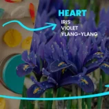 Ayrveda-Description_02_f62b6203-32ab-4b86-9ac5-aaad6461cf08_1728x