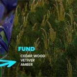 Ayrveda-Description_03_54a96655-47b5-4d6f-9a9b-588d9d62730a_1728x