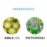 AyurvedaIngredients_1728x