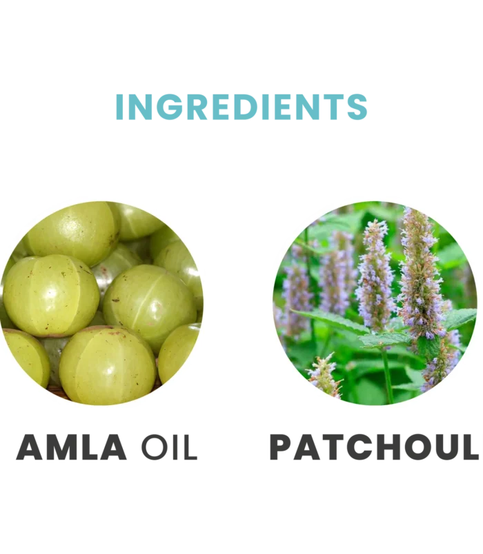 AyurvedaIngredients_1728x