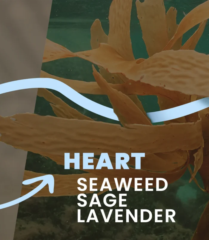 Thalasso-Therapy-Description_02_1728x Thalasso-Therapy-Description_02_1728x