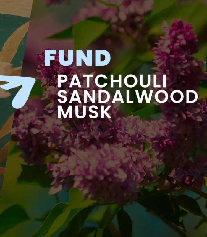 Thalasso-Therapy-Description_03_1728x Thalasso-Therapy-Description_03_1728x