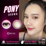 e1287d5f0e10153c5bb028594fdd1b8c